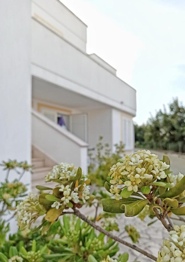 Residence Bellevue Santa Maria di Leuca Zewnętrze zdjęcie
